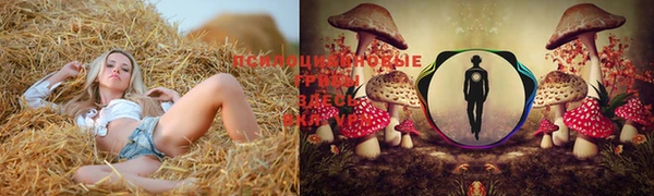 каннабис Вяземский