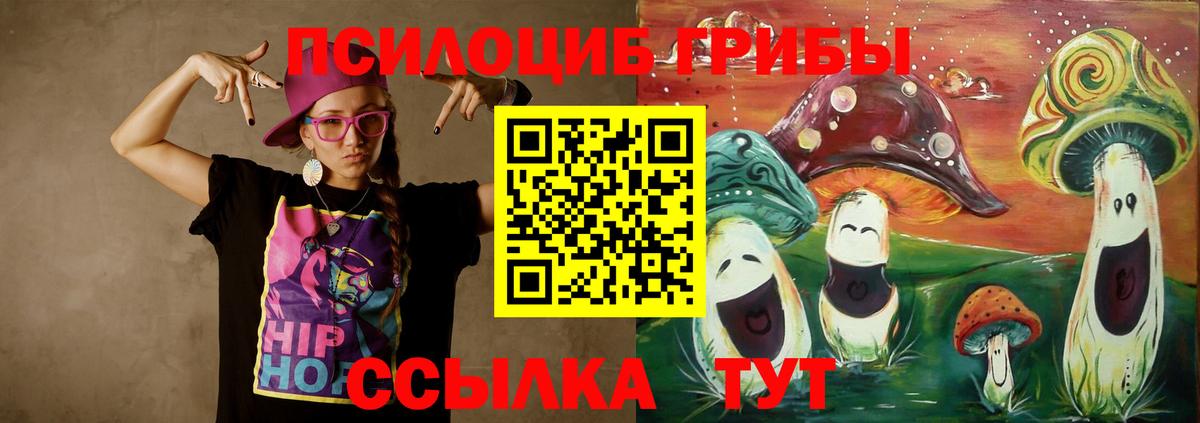 Псилоцибиновые грибы Cubensis Железногорск