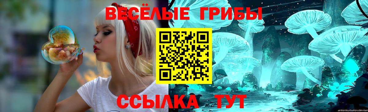 Псилоцибиновые грибы Psilocybine cubensis  Псилоцибиновые грибы MAGIC MUSHROOMS  Вход с VPN  Железногорск 